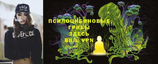 эйфоретик Белокуриха
