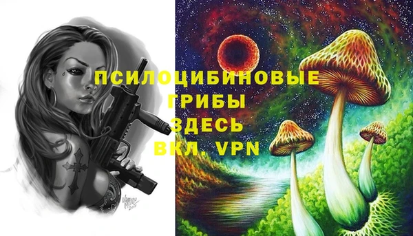 дурь Беломорск