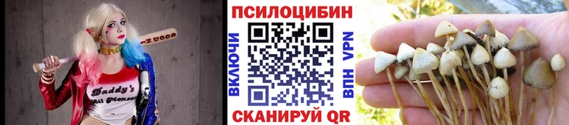 Галлюциногенные грибы Magic Shrooms  mega маркетплейс  Лабинск  shop какой сайт  где найти  